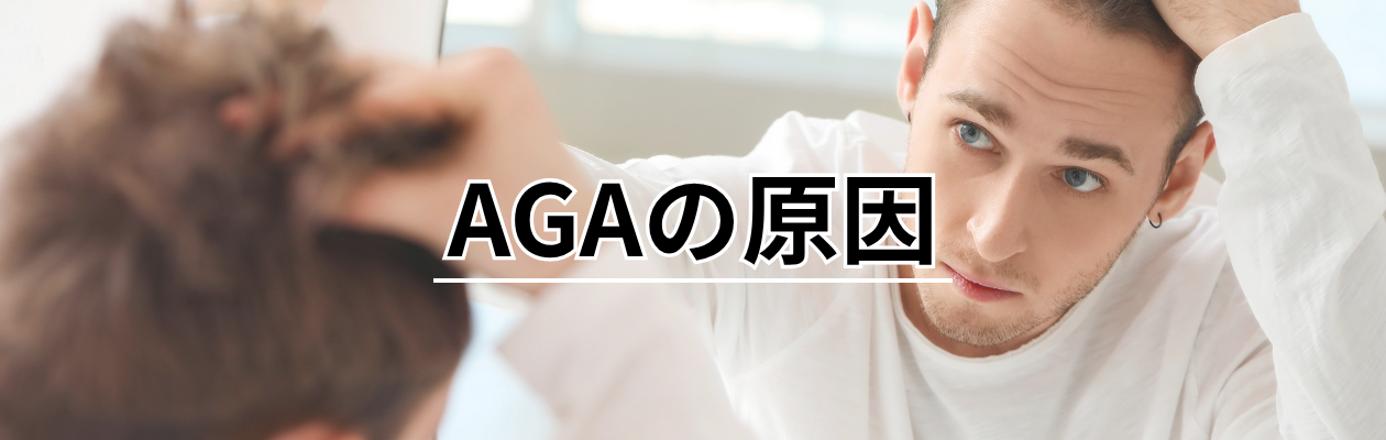 スケジュール
