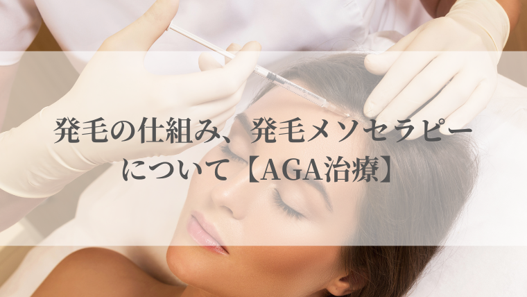 発毛の仕組み、発毛メソセラピーについて【AGA治療】