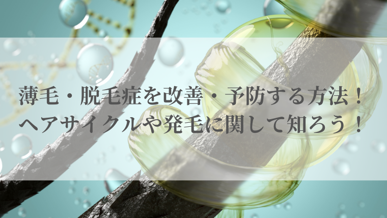 薄毛・脱毛症を改善・予防する方法！ヘアサイクルや発毛に関して知ろう！